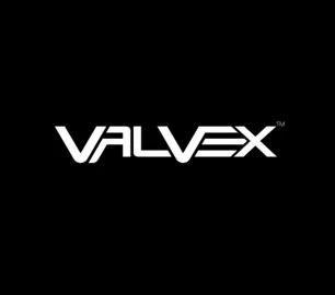logo firmy valvex